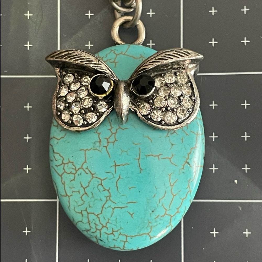 Turquoise stone owl pendant necklace w/ antique silver tone chain.